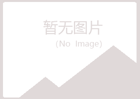 白山夏日咨询有限公司